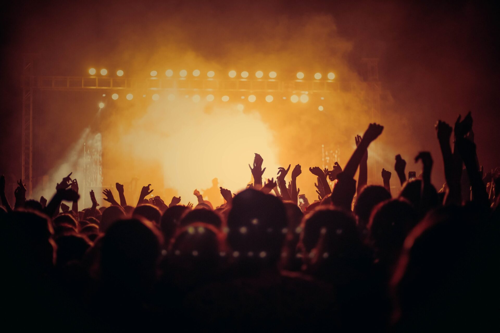 Image d'un concert dans un festival de musique